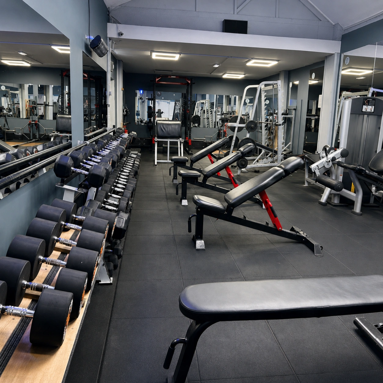 Gym 55 Free Weights
